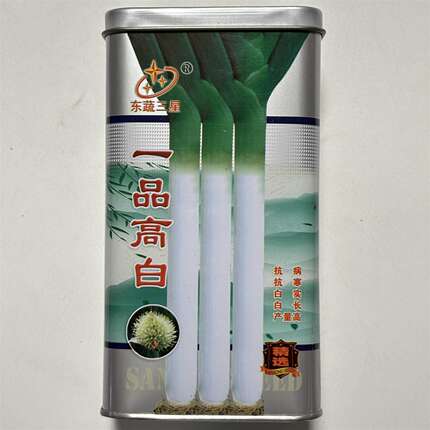 一品高白大葱种子高产抗病耐热耐寒春秋播农家菜园基地种植蔬菜种