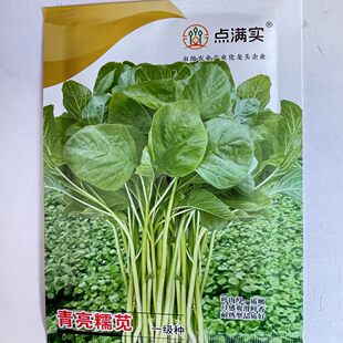 点满实青亮糯苋种子四倍体茎绿白色叶片大耐热耐湿生长快软糯鲜香