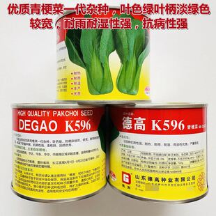 德高K596青梗菜青菜种籽子夏秋耐热耐湿上海青唐菜鲜嫩小青菜蔬菜