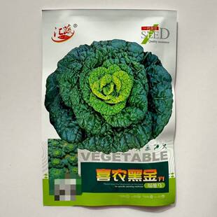 喜农黑金塌地乌菜种子高产抗病耐寒耐热乌塌菜籽庭院阳台盆栽秋播