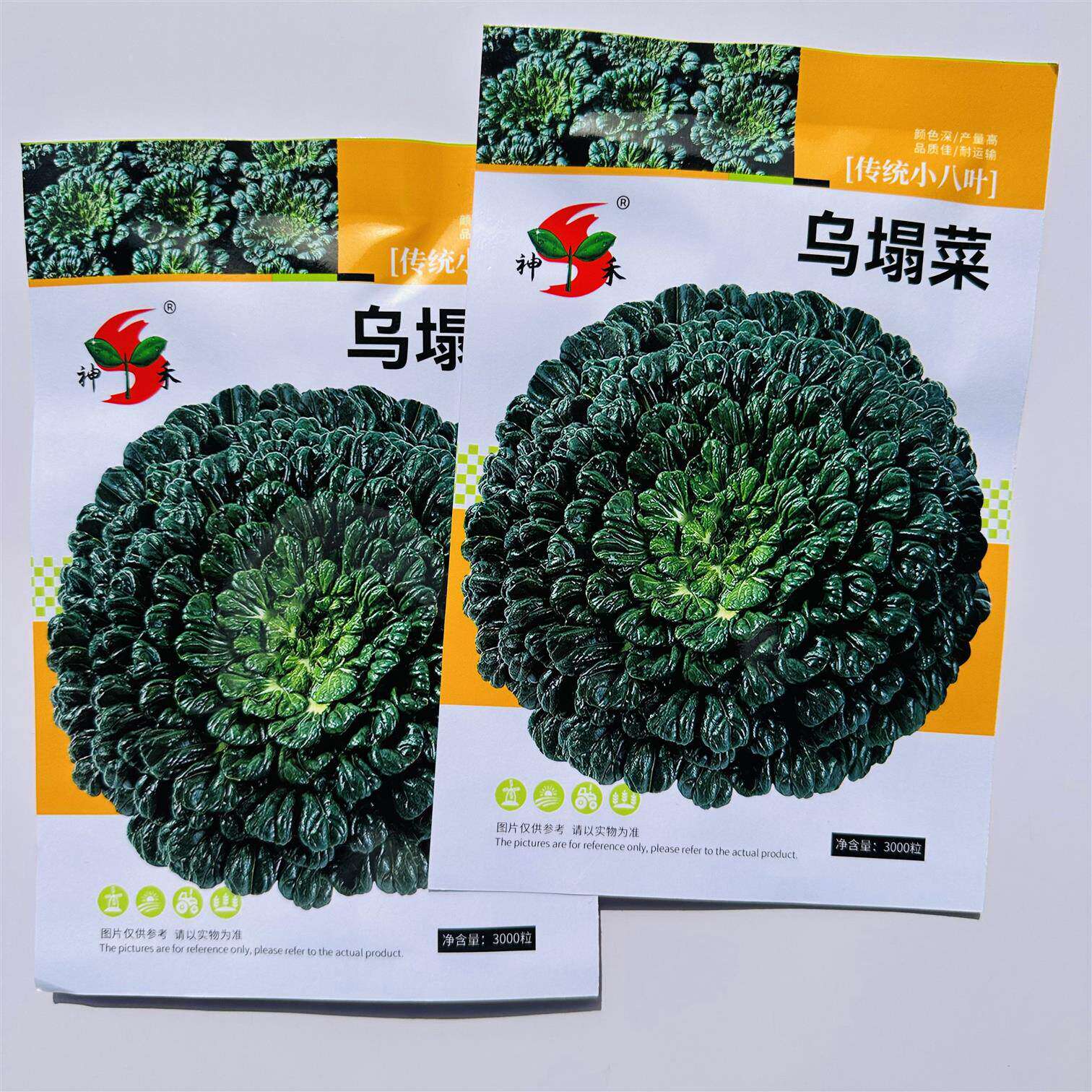 乌塌菜种子传统小八叶高产抗病蔬菜种子春秋四季播农家易种蔬菜种