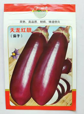 天龙红靓茄子种子 春秋播早熟皮红亮薄皮白肉挂果多肉茄子趴茄子
