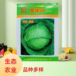 耐热夏绿甘蓝种子专家早熟包菜种子专家包心菜高扁形季秋卷心菜籽