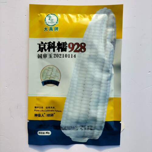 京科糯928白玉米种子高产抗病杂交一代国审白糯玉米种籽春秋播种