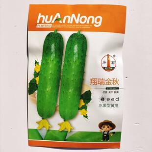 翔瑞金秋水果黄瓜中早熟品种长势强短棒肉质细腻瓜长15cm黄瓜种子