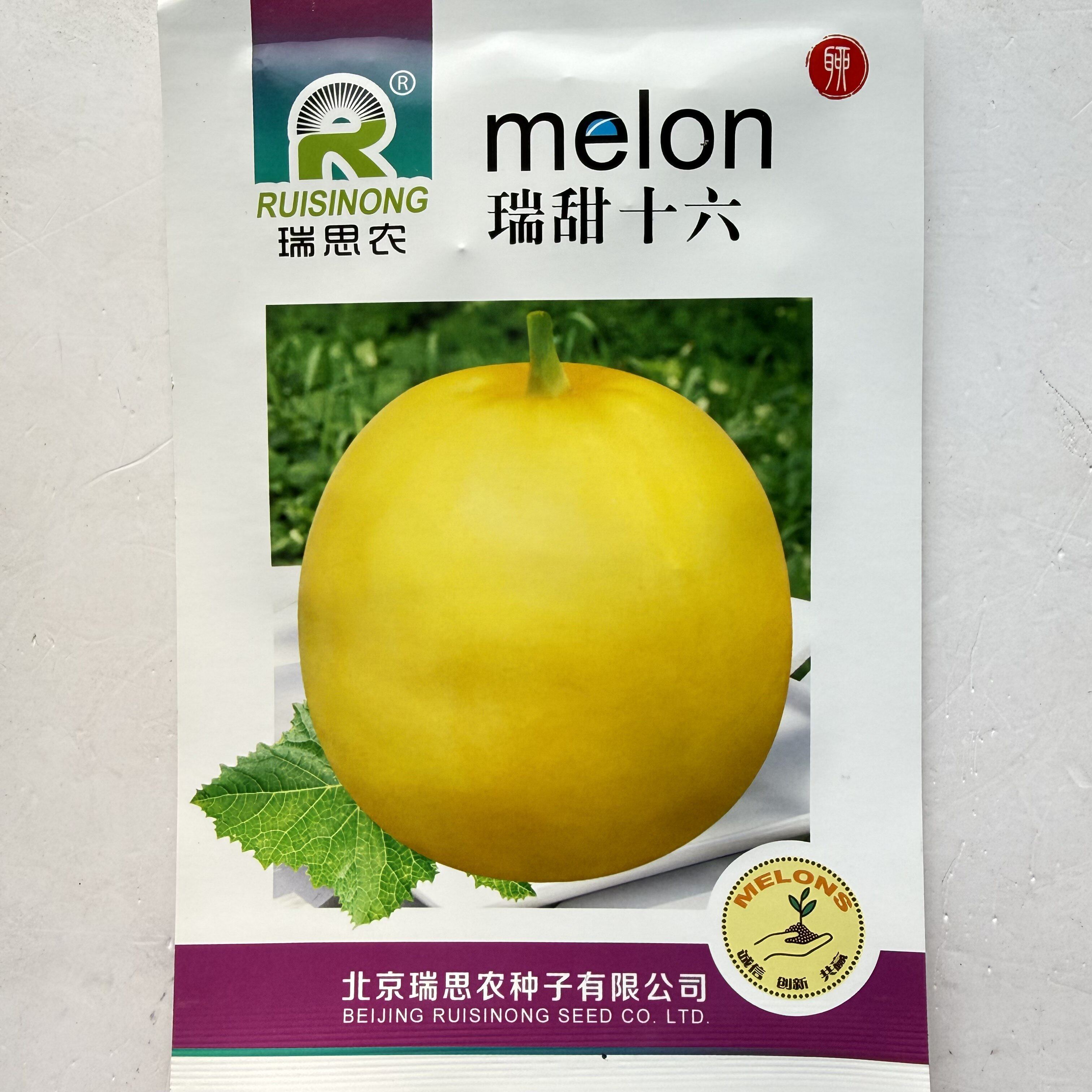 瑞甜十六早熟杂交薄皮甜瓜种子黄皮高圆形肉乳白色半干瓤抗裂抗病