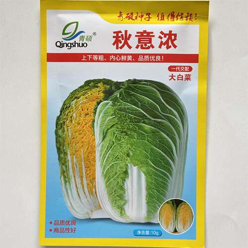 秋意浓黄芯大白菜种子高产抗病耐热耐寒大白菜种籽春秋蔬菜种子籽