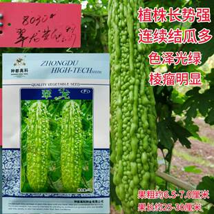 种都高科翠龙苦瓜种子 抗病早熟绿油亮长绿苦瓜种籽 农家春秋季播