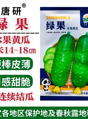 唐研绿果水果黄瓜种子早熟短棒形皮薄短把瓜条绿色肉质脆嫩春秋播