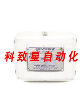工业配件BINDICATOR MODEL R