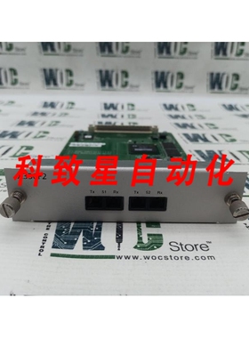 工业配件X330F2 CAJUN P333T扩展模块