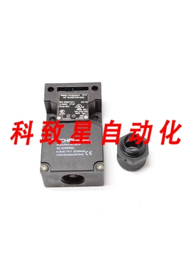 工业配件AZ 16-03ZVRK-M20 NSNBC01-安全开关