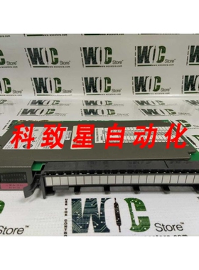 工业配件1771-IGD 96042278系列A数字输入模块 13979814