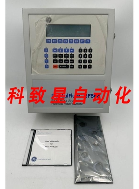 工业配件GE DIGITALFLOW GF868 超声波火炬流量计 GF868-1108
