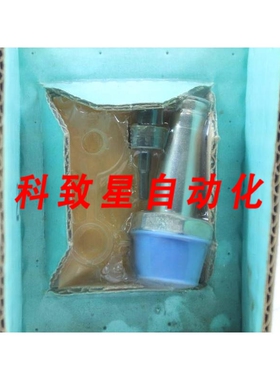 工业配件302698 NSNB-VALVE