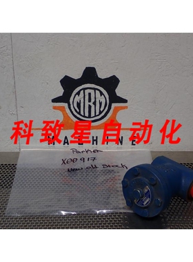 工业配件RSF X00917 过滤器 SWP21KG/CM2 300PSIG