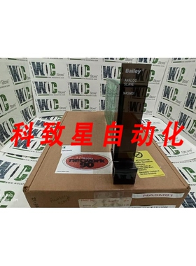 工业配件NASM01 模拟输入模块