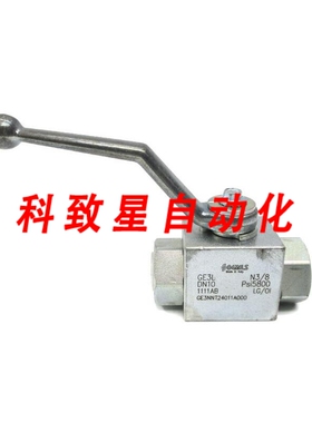工业配件GEMELS GE3NNT24011A000 5800PSI