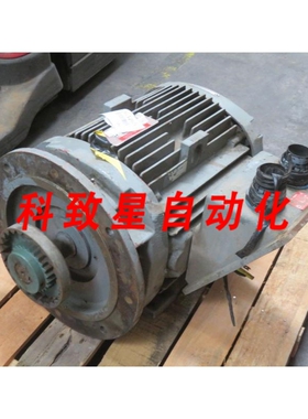 工业配件GE 5K324JS1008D22F2 TRICLAD 电机 T263765