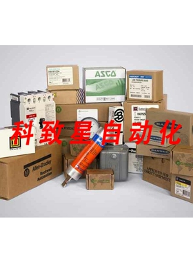 工业配件IKS D220-R100-B-1/8 NSFB