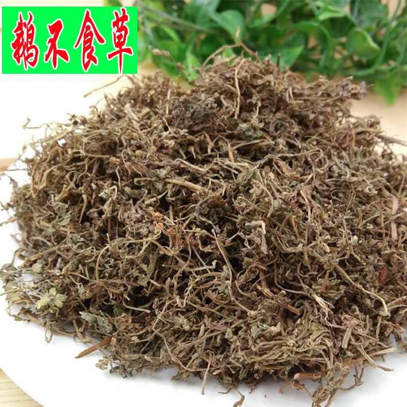 野生中药材新鲜鹅不食草500克