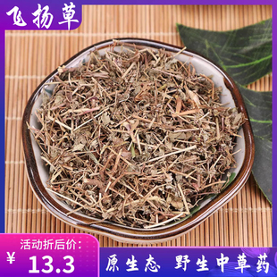 中药材飞扬草 大飞扬草500克广西野生飞扬草 大乳汁草 无硫飞杨草