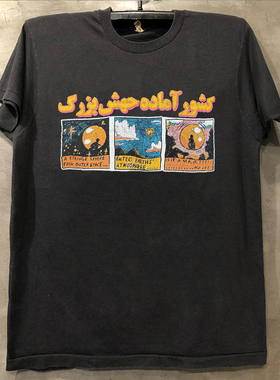 The Flaming Lips烈焰红唇合唱团专辑印花美式复古潮牌短袖T恤男