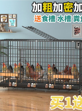 鸡笼家用室内大号室外下蛋养鸡鸡舍鸡窝鸭笼折叠养殖笼滚蛋