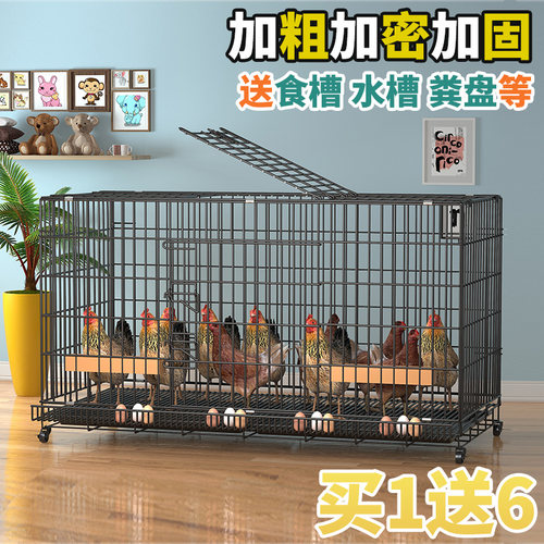 鸡笼子家用下蛋自动清粪特大号