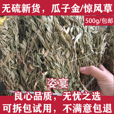 瓜子金 中药材惊风草500g瓜子草 辰砂草 勒马回 来马回中草药包邮