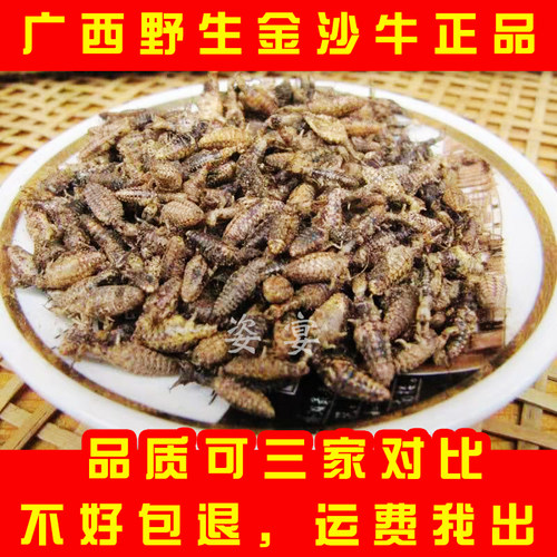 野生地牯牛无杂质中药材