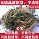 半边花细米草新鲜500g 中药材野生半边莲 中草药干半边连 半边莲