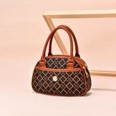 妈妈包包2025新款 手提包中年女士迷你小包送婆婆买菜包零钱包 时尚