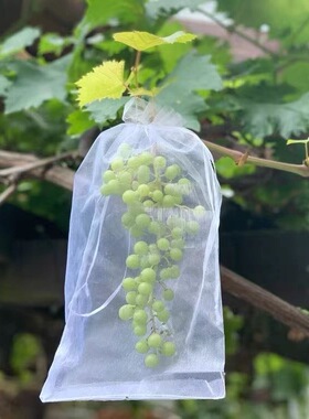 10个网纱袋防鸟防虫防蚊蝇水果树果蔬套袋透气透光白色套蔬菜套袋