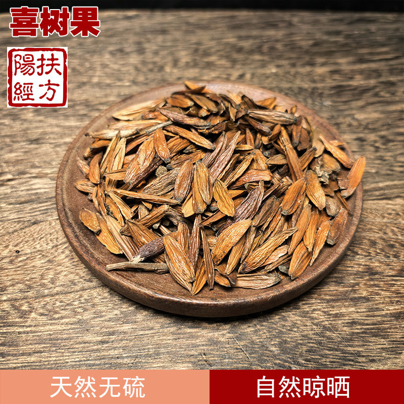 扶阳经方 野生喜树果 中药材 喜树叶 喜树皮 千丈树 水栗子