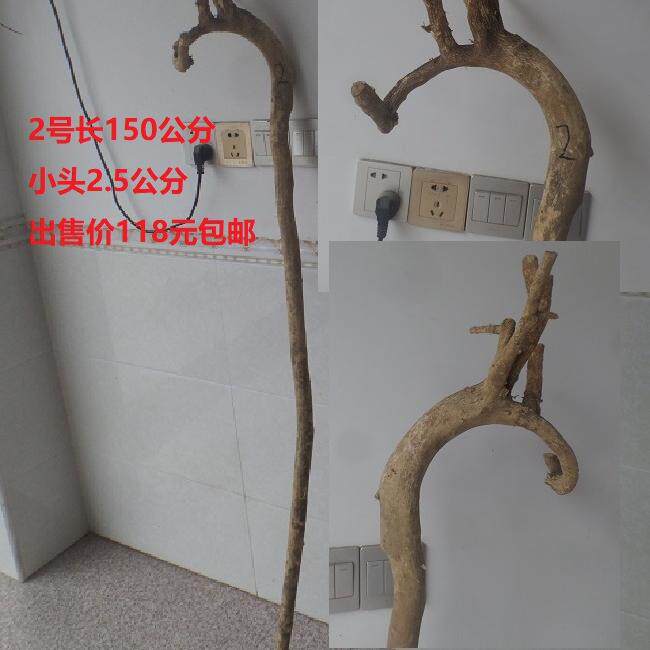 작은 잎 회양목 목발재 수도꼭지 버팀목 재료 회양목 뿌리 조각 손잡이 조각 작은 잎 회양목 원목