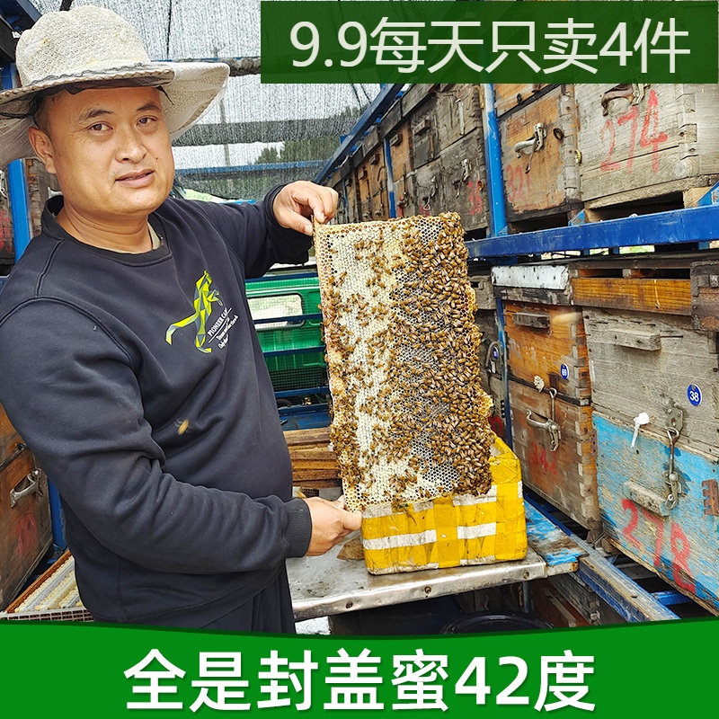 24年荆条蜂蜜天然蜂巢蜜农家自产结晶野生荆花成熟蜜纯正包邮