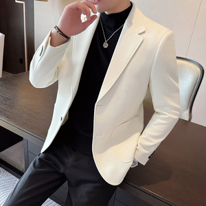 秋冬季新华夫格新款西装外套男上衣休闲单件西服A207-DX887-P148图片