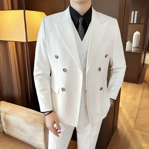 秋冬西服套装正装休闲新郎婚礼西服两件套A207-LJT808-P210图片