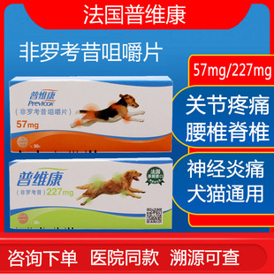 普维康57mg227mg骨克疼非罗考昔咀嚼片狗狗骨折关节炎症止疼药