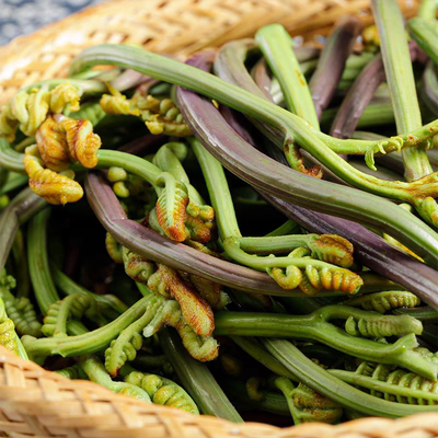 新鲜野菜蕨菜龙爪菜云南山林野菜农家食材保鲜蔬菜龙爪菜农产品