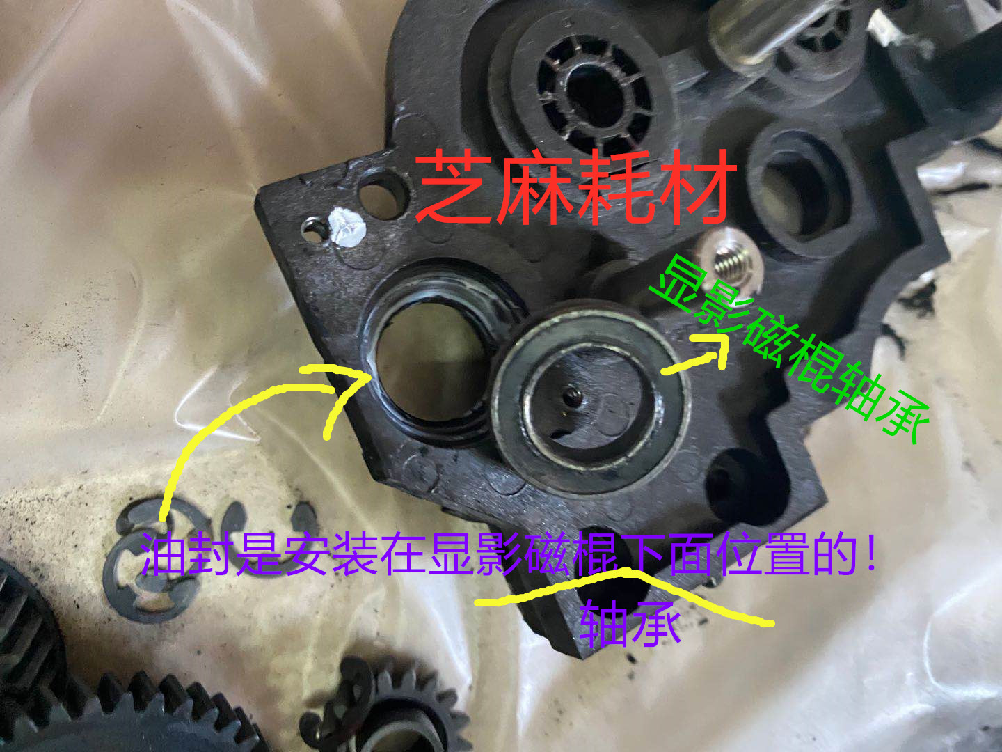 台湾 理光6002 7502 7503 6503 9003 9002 7500 7001显影轴承油封