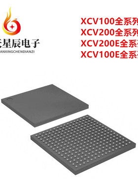 XCV100-5FG256C\XCV100E-7FG256I\XCV200E-6FG256C\4FGG256C