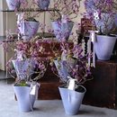 2025年新款 花盆大号 栽蝴蝶大蕙兰花冬青盆景专用手工陶瓷中式