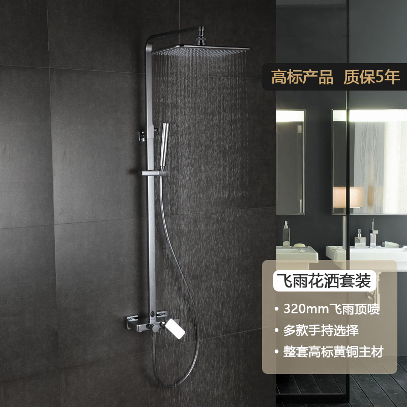 霖姿五金ZL34 全铜淋浴花洒套装 空气注入高端飞雨花洒出口德国