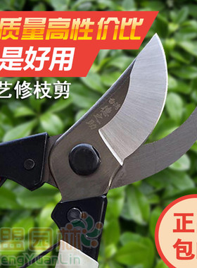 德之助花剪修枝剪树枝剪刀 进口果树剪刀园林剪支剪园艺手剪家用