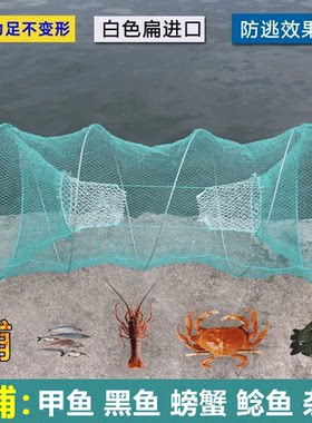 黑鱼笼螃蟹甲鱼笼抓鱼虾鱼网鱼笼折叠捕鱼花篮网只进不出捕鱼神器