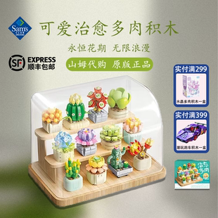 山姆代购费米多肉盆栽积木花摆件创意益智拼装男孩女孩新年礼物