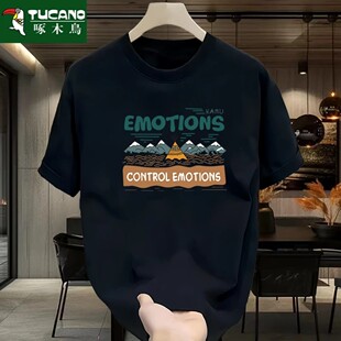 韩系复古ins潮流宽松帅气半袖 新款 上衣 t恤男生2025夏季 啄木鸟短袖