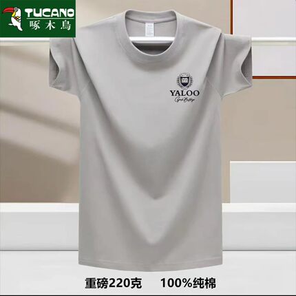 啄木鸟高级百搭情侣款简约气质轻奢百搭印花设计夏季短袖宽松T恤
